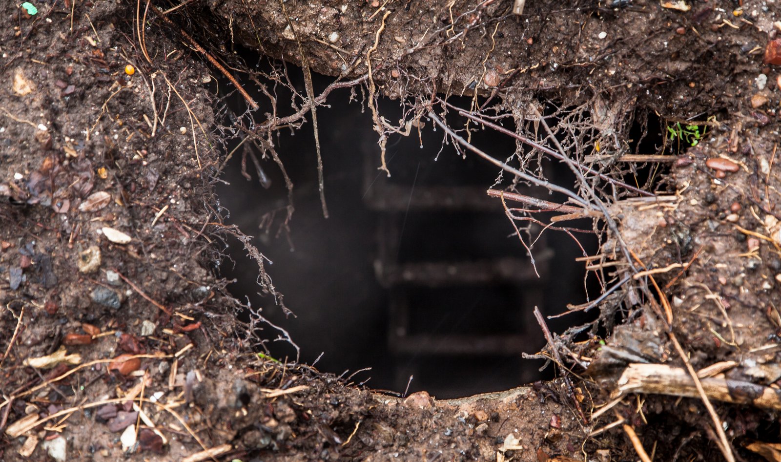 art-of-sandy-mo-staten island 2-5.jpg